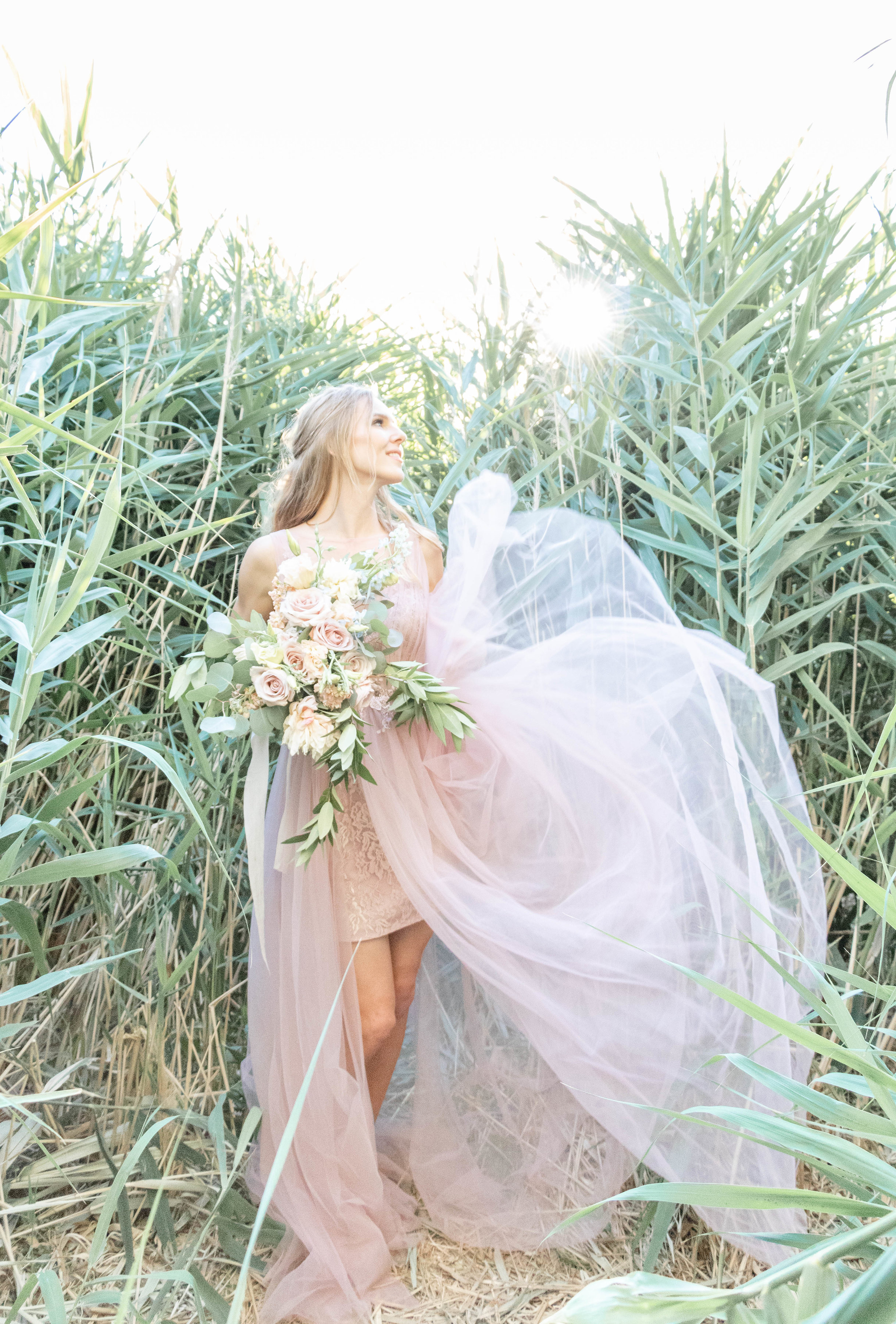 Mary's Brides