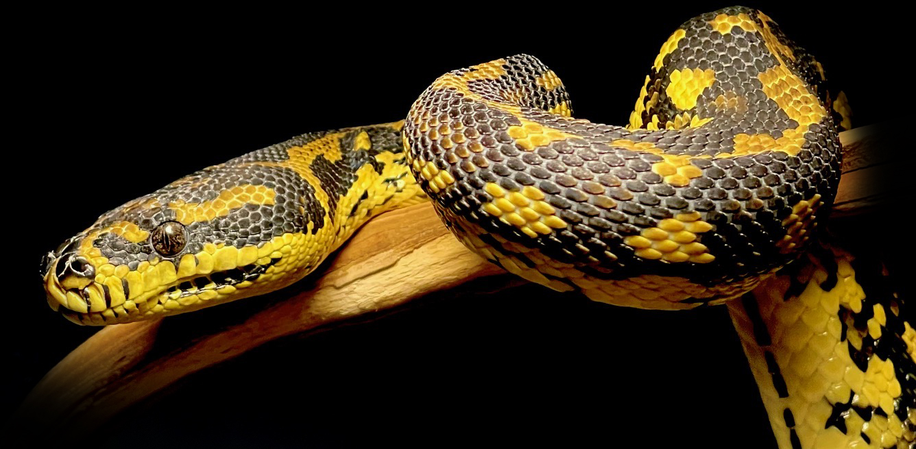 MicrosoftTeams-image (10).png