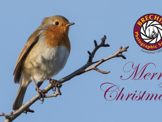It's Christmas, but there is good news too!