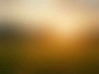 The Impact of Psychological Skills Training on Athletic Performance: Insights from Current Research