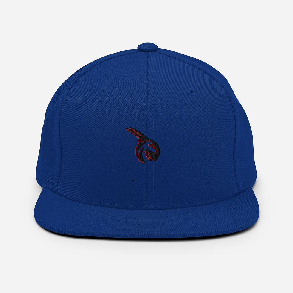 Thumbnail: Snapback Hat
