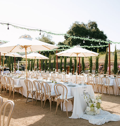 Vazquez Photography - Sacred Oak Vineyard_-714.jpg