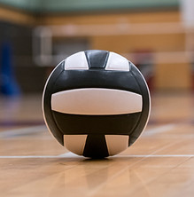Volleyball_edited_edited.jpg