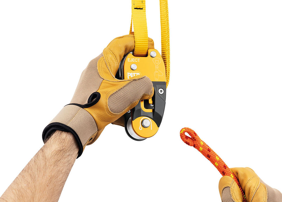 Thumbnail: EJECT, Adjustable friction saver for tree care that is easily retrievable from