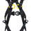 Thumbnail: NEWTON international version, Fall arrest harness
