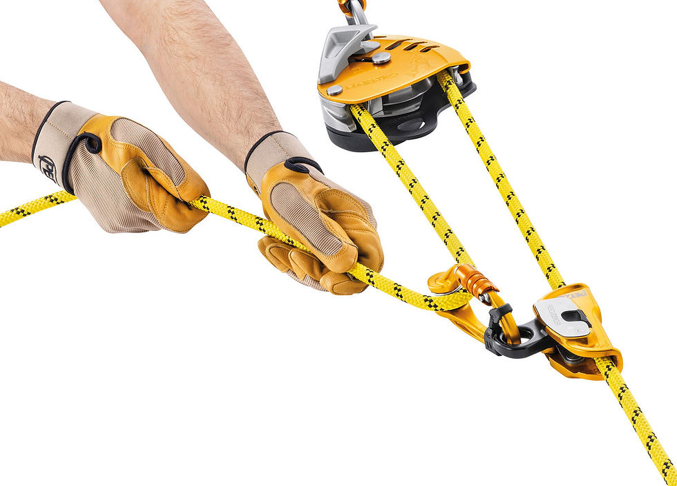 Thumbnail: MAESTRO® S, Descender with integrated progress-capture pulley for loads up to