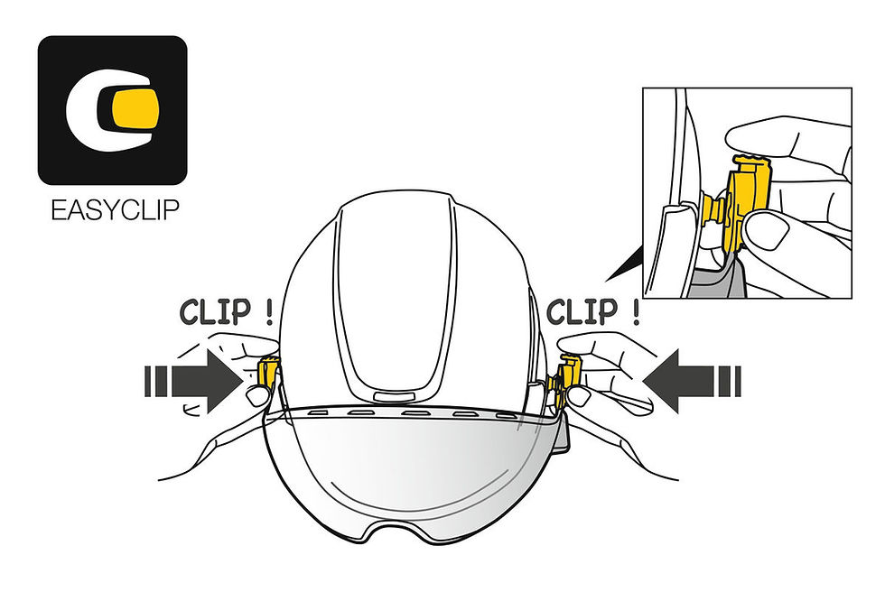 Thumbnail: VIZEN MESH, Face shield for tree care for VERTEX and STRATO helmets, with EASY