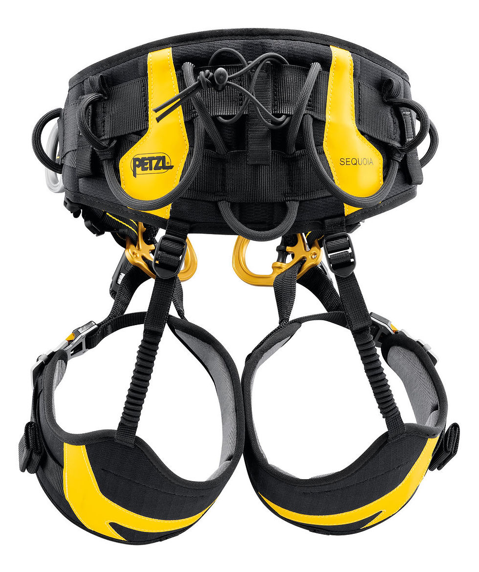 Thumbnail: SEQUOIA®, Tree care seat harness for doubled-rope ascent techniques