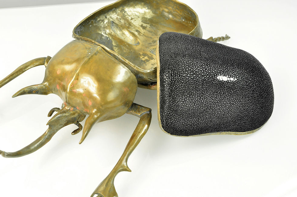 Thumbnail: brass and shagreen box, opened