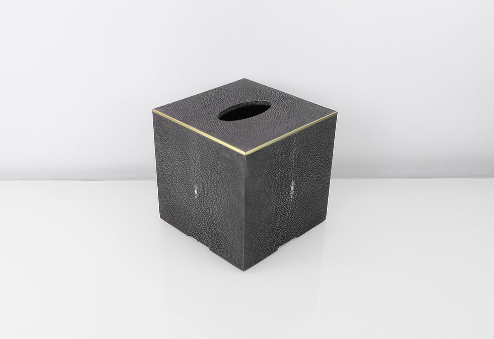 Miniature : shagreen tissue box with brass trims
