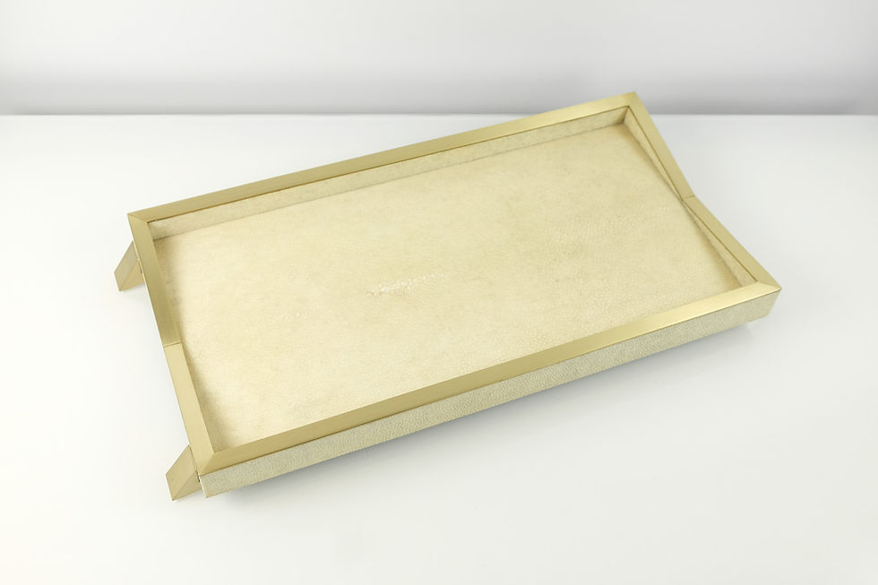 top view of a rectangular shagreen tray with brass details