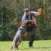 Protection Work Action Shot_edited.jpg