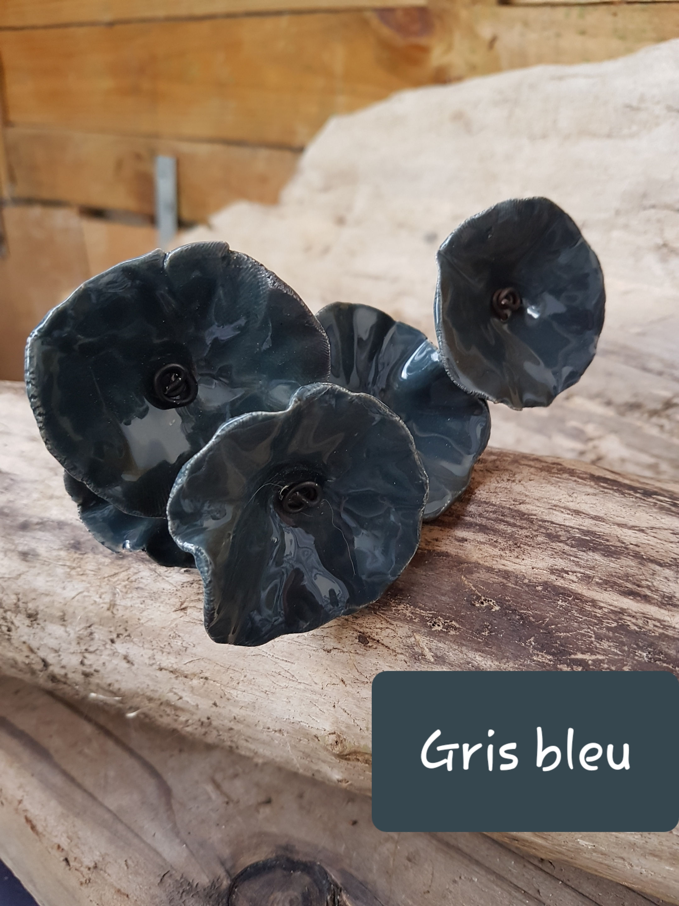 Fleur grise bleue