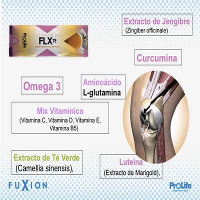 FLEXTE400X400-1
