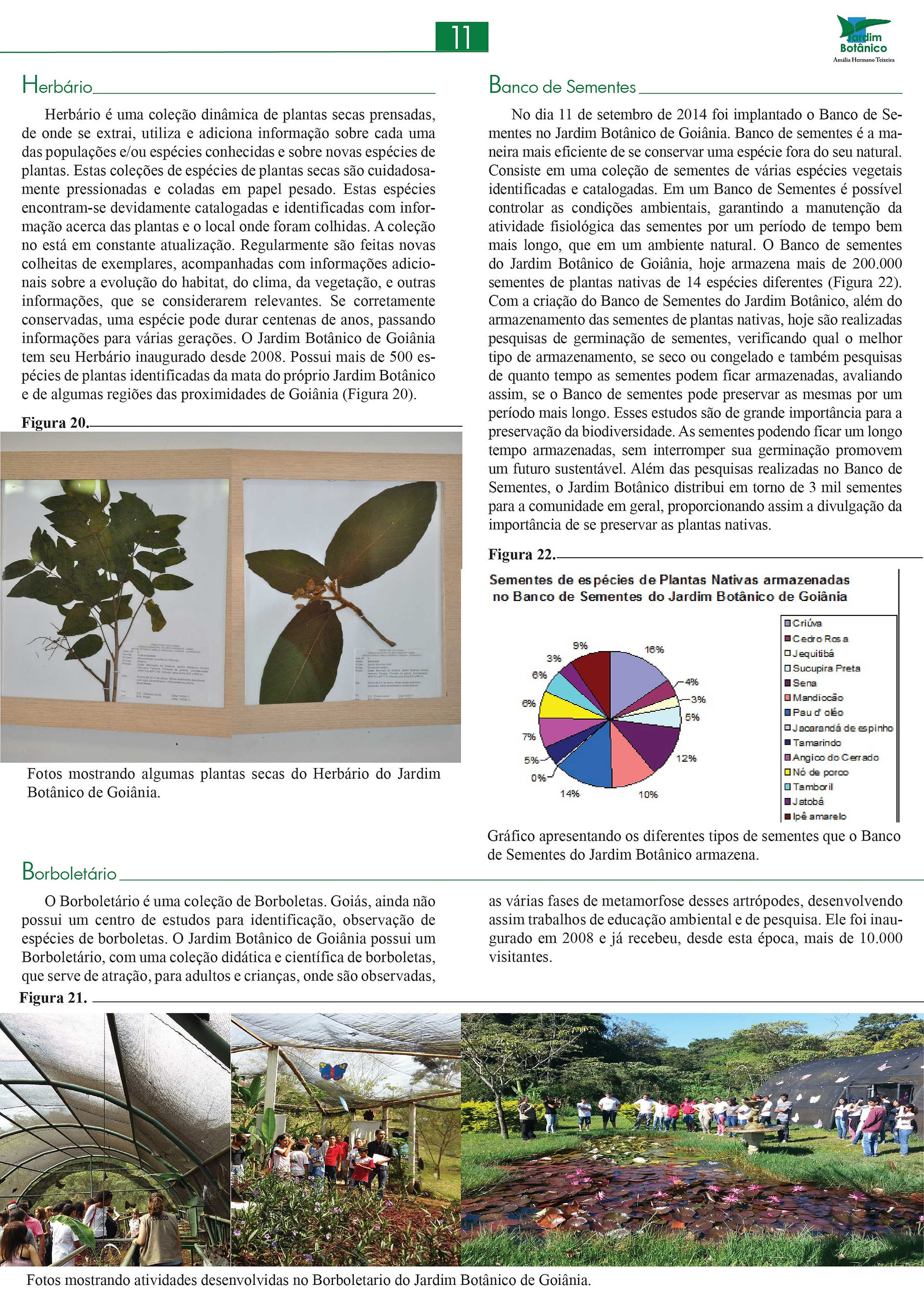 Jardim Botânico Amália Hermano Teixeira - Informativo - 2016