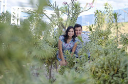 Fotos Pré Casamento