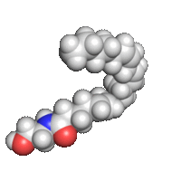 image-asset.gif
