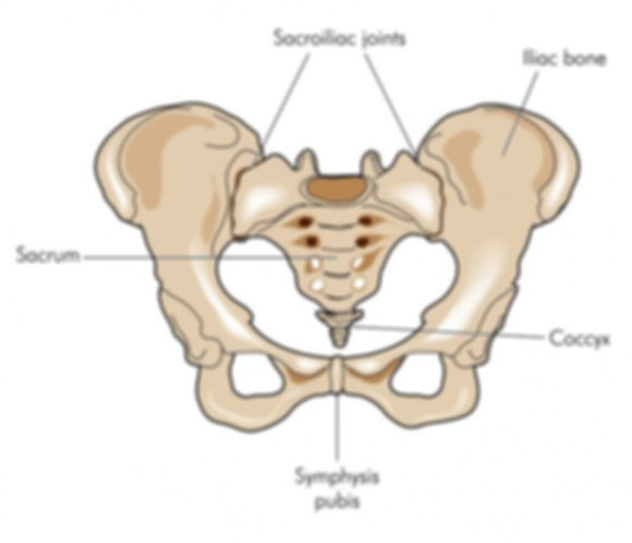 sacroiliacjoint13321761_M.jpg