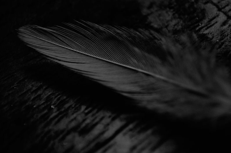 Hempfire_CBD_feather.jpg