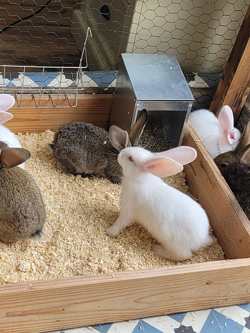 WhatsApp Image 2024-07-03 à 14.04.07_7404e28b.jpg