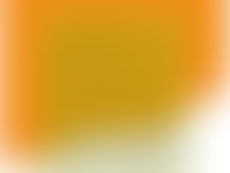 “ Cocotte et Dragon ” - Quatrième de couverture -