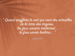 QUAND LE MANQUE DE CULTURE, DE CONNAISSANCE, D’ÉDUCATION, DE CULTURE GÉNÉRALE ET LE MANQUE DE CURIOS