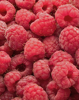 Framboises