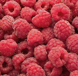 Raspberries