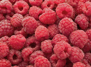 Raspberries