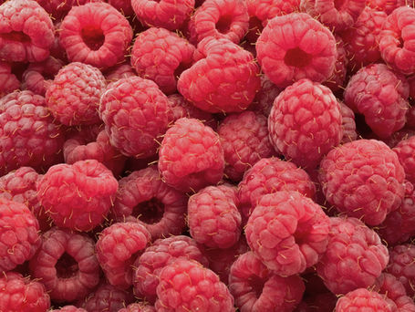 Himbeeren - Der Geschmack von Sommer