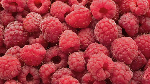 Raspberries