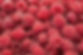 Raspberries