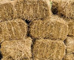 Thumbnail: Boma Rhodes Hay