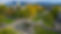 33734603791_924a23061c_k_2.jpg