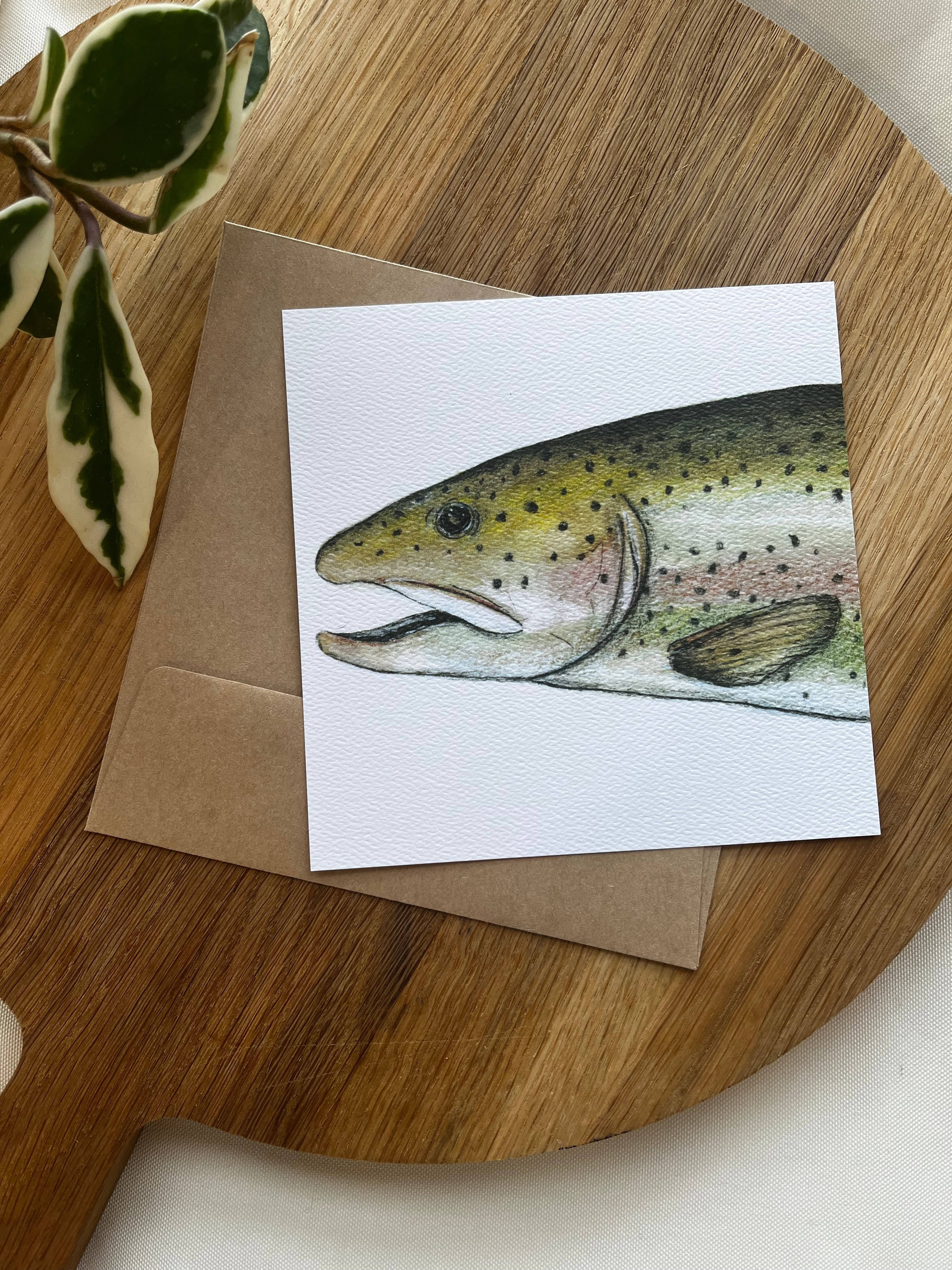 Rainbow Trout 5"x5" Card
