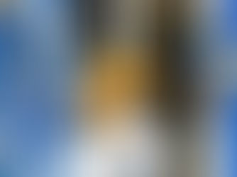 Logistics Robots Making Fulfillment Faster