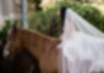 Bride on a horse