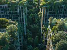 İklim Değişikliği ve Sürdürülebilirlik: Kalıcı Değişim İçin Toplumsal Dönüşüm ve Disiplinler Arası İşbirliği
