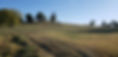 20221010_165120.jpg