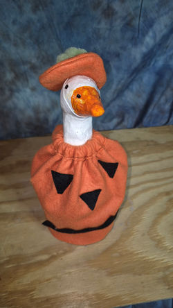 Pumpkin Costume