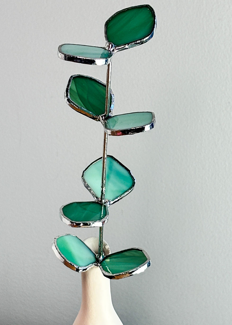 Miniature : Eucalyptus