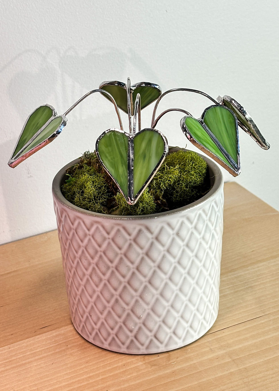 Miniature : Plante à coeurs
