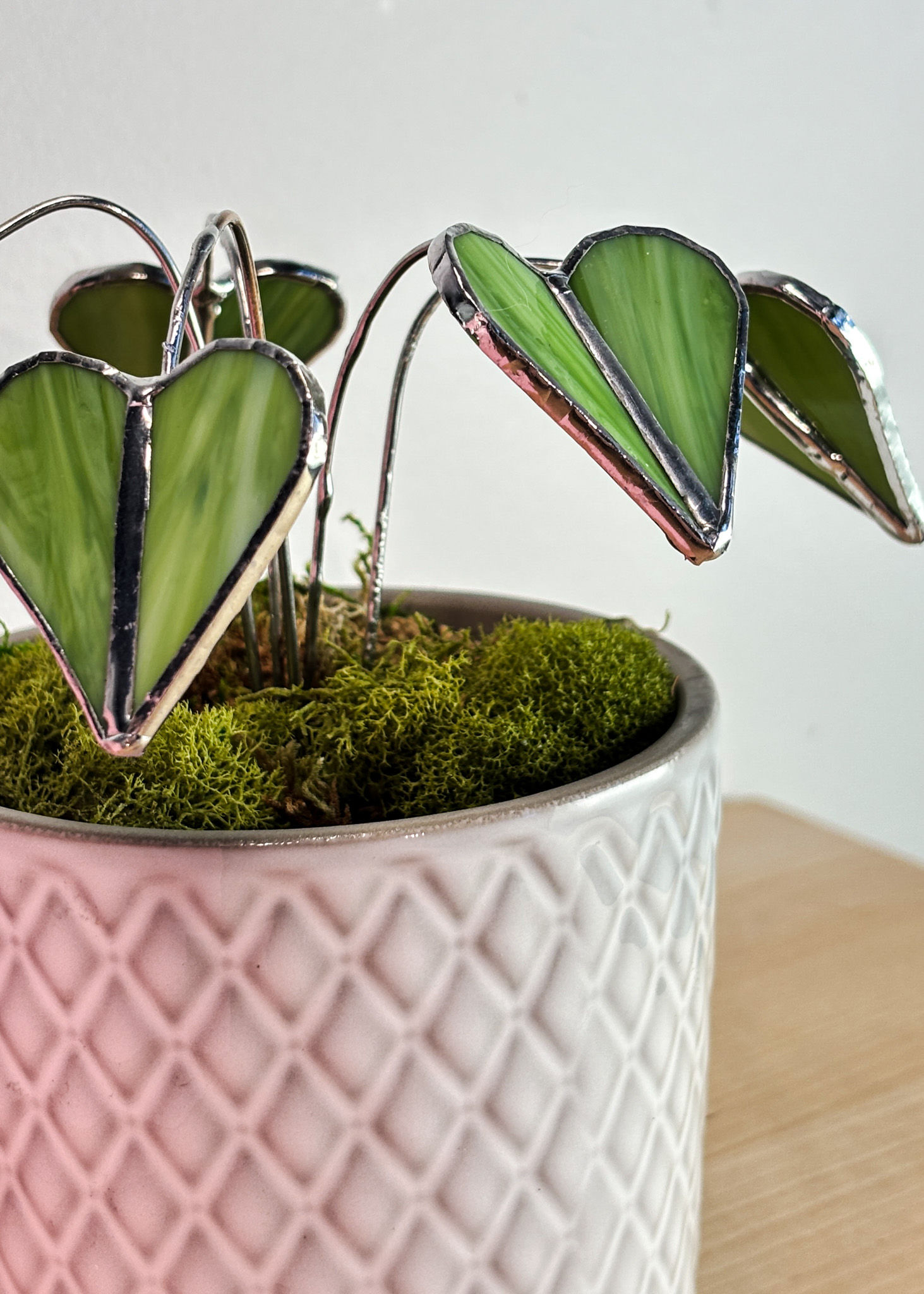 Plante à coeurs