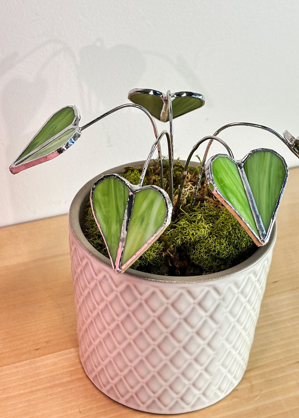 Miniature : Plante à coeurs