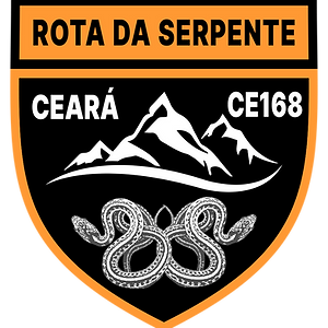 Escudo Sem Sombras PNG.png