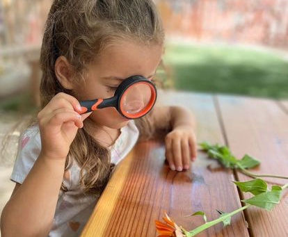 What's Actually Happening in Your Child's Brain During Outdoor Play