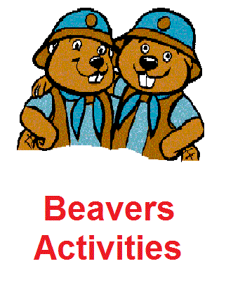 Beaver Scout Activities - 27th Oshawa Scouts