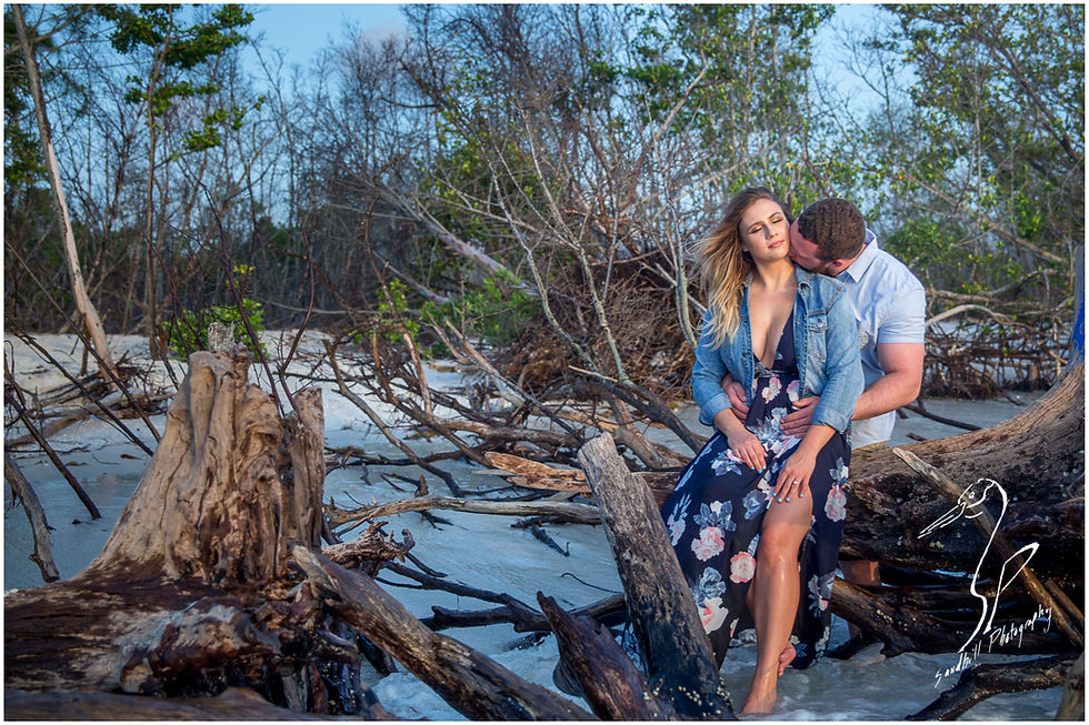 Longboat Key Engagement Photographer,a women sits on a drift wood log at the beach as her fiance kisses his neck