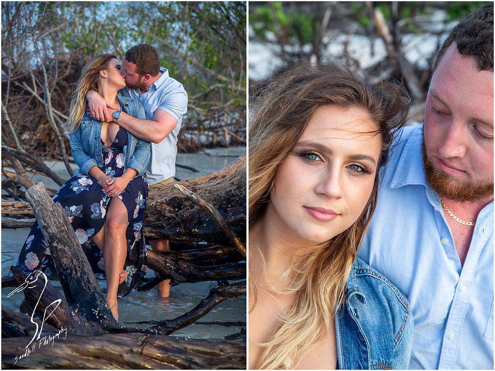 Longboat Key Engagement Photographer, romantic couple on a drift wood strewn beach