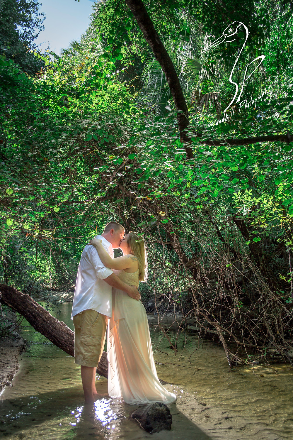 Rye Preserve Engagement Photography in Bradenton, couple kissing while standing in a creek. back lit photography